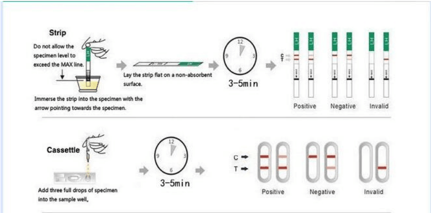 Test ciążowy moczu Szybki test Hcg